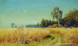 El grano esta madurando El grano esta madurando