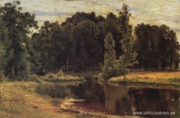 Estanque en un parque antiguo Estanque en un parque antiguo