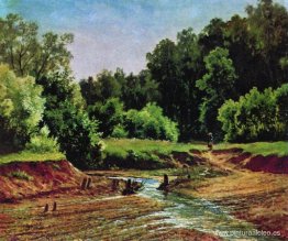 paisaje forestal paisaje forestal