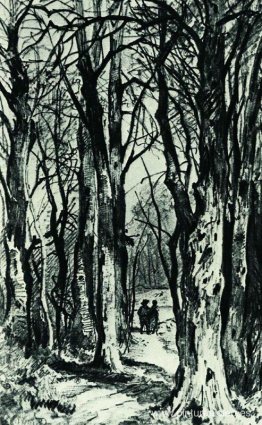 Camino del bosque Camino del bosque