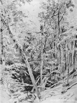 Suuch Khan. Crimea Suuch Khan. Crimea