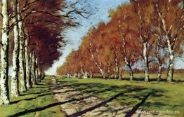 Gran camino. Día soleado de otoño. Gran camino. Día soleado de otoño.