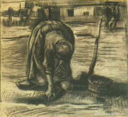 Mujer campesina, plantando patatas Mujer campesina, plantando patatas