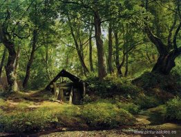 Día soleado. merikyul Día soleado. merikyul