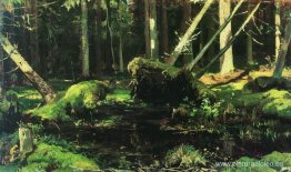 Árboles caídos por el viento Árboles caídos por el viento