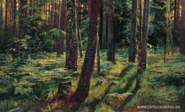 Helechos en el bosque. Síverskaya Helechos en el bosque. Síverskaya