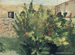 granate floreciente granate floreciente