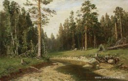 Bosque de árboles de mástil Bosque de árboles de mástil