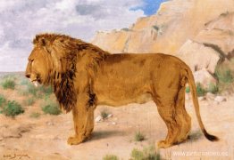 estudio de un león estudio de un león