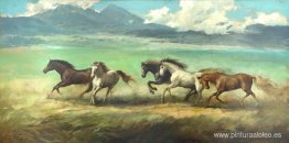 caballos caballos