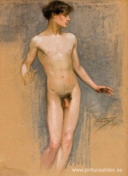 desnudo masculino desnudo masculino