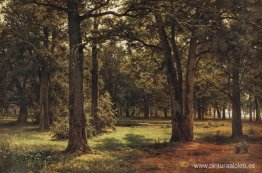 Robles de Pedro el Grande en Sestroretsk Robles de Pedro el Grande en Sestroretsk