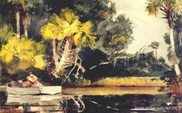 Selva de Homosassa (Florida) Selva de Homosassa (Florida)