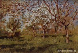 Manzanos en flor Manzanos en flor