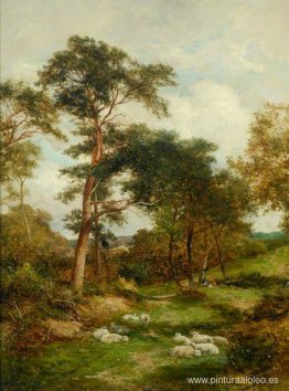 Un carril de Warwickshire Un carril de Warwickshire