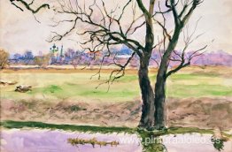 Cerca de Maloyaroslavets Cerca de Maloyaroslavets