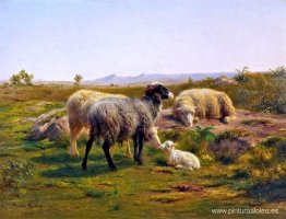 Oveja y un cordero Oveja y un cordero