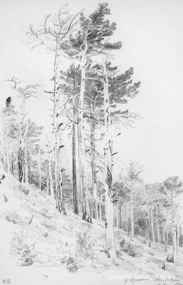 En la cima del Ai-Petri En la cima del Ai-Petri