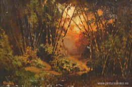 Paisaje indonesio Paisaje indonesio