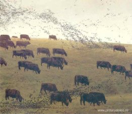 Grackles y Angus Grackles y Angus