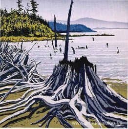 Flotsam-Allagash Flotsam-Allagash