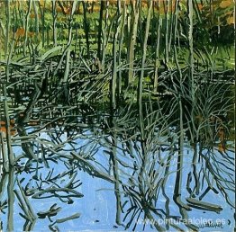 Estudio de escasez de agua: flujo de Knight Estudio de escasez de agua: flujo de Knight