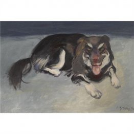 Perro Perro