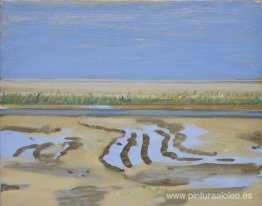 Delta Delta