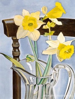 Narcisos y apio Narcisos y apio