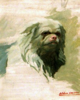 retrato de perro retrato de perro