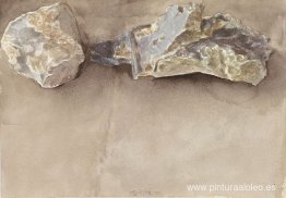 dos piedras dos piedras