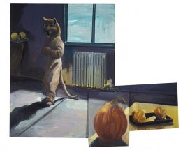 chico gato chico gato