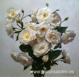rosas blancas rosas blancas