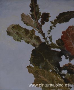 hojas de otoño hojas de otoño