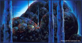 Eucalipto iluminado por la luna Eucalipto iluminado por la luna