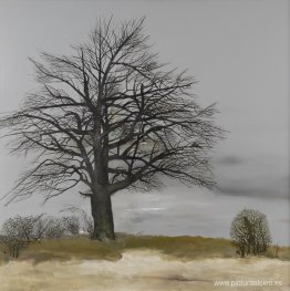 Peral salvaje Peral salvaje