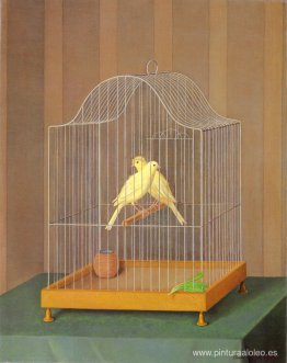 Due canarini en gabia Due canarini en gabia