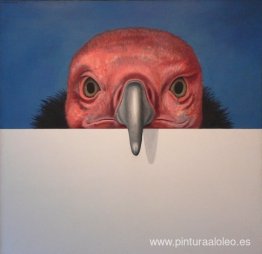 Más y más allá #14 Más y más allá #14