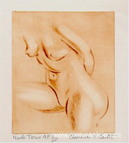 torso desnudo torso desnudo