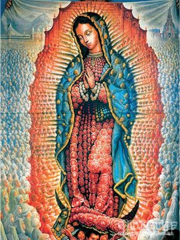señora guadalupe señora guadalupe