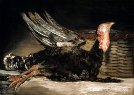 pavo muerto pavo muerto