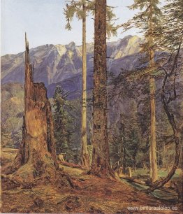 El Monte Höllengebirge en Ischl El Monte Höllengebirge en Ischl