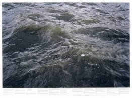 Sin título (de la serie Still Water (El río Támesis, por ejemplo Sin título (de la serie Still Water (El río Támesis, por ejemplo