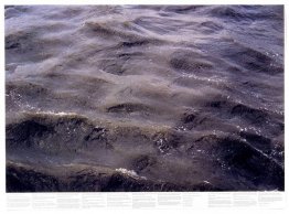 Sin título (de la serie Still Water (El río Támesis, por ejemplo Sin título (de la serie Still Water (El río Támesis, por ejemplo