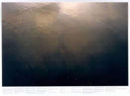 Sin título (de la serie Still Water (El río Támesis, por ejemplo Sin título (de la serie Still Water (El río Támesis, por ejemplo