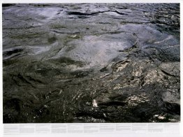 Sin título (de la serie Still Water (El río Támesis, por ejemplo Sin título (de la serie Still Water (El río Támesis, por ejemplo