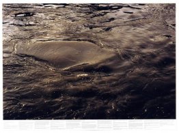 Sin título (de la serie Still Water (El río Támesis, por ejemplo Sin título (de la serie Still Water (El río Támesis, por ejemplo