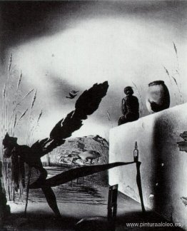 Fantasma de Vermeer Van Delft Fantasma de Vermeer Van Delft