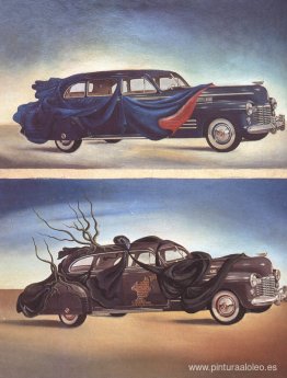 Ropa de automóvil (automóvil vestido) Ropa de automóvil (automóvil vestido)