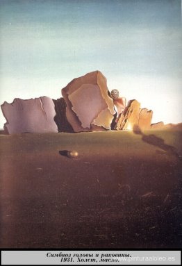 Simbiosis entre la cabeza y el caparazón Simbiosis entre la cabeza y el caparazón